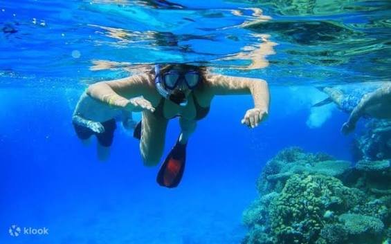 Private Speed Boat – Red Sea Adventure — photo 5