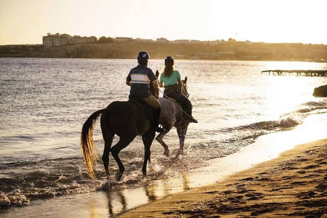 Beach Horse Riding – Sharm El Sheikh — photo 7