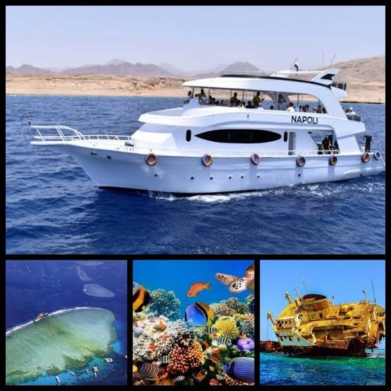 Tiran Island Boat Trip – Snorkeling Adventure — photo 4