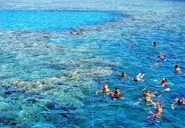 Tiran Island Boat Trip – Snorkeling Adventure — photo 6