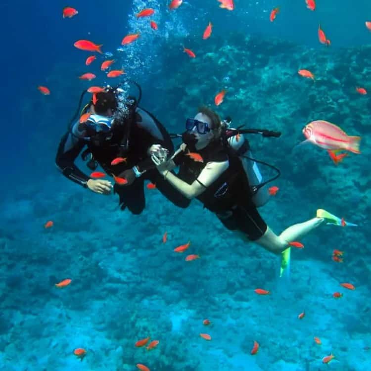 Ras Mohamed & White Island Boat Trip – Sharm El Sheikh — photo 4