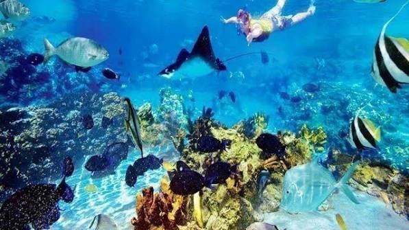 Tiran Island Boat Trip – Snorkeling Adventure — photo 8