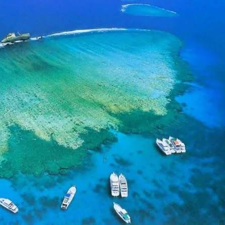 Tiran Island Boat Trip – Snorkeling Adventure — photo 10