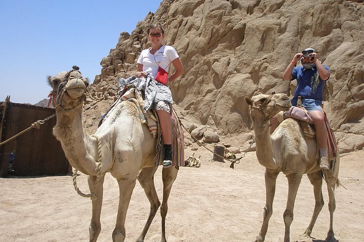 Dahab & Colored Canyon 5-in-1 Adventure — photo 5