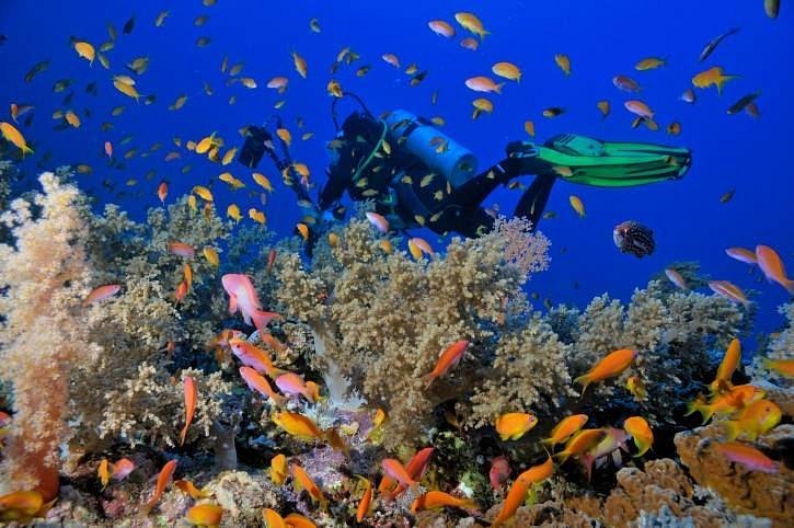 Ras Mohamed & White Island Boat Trip – Sharm El Sheikh — photo 8