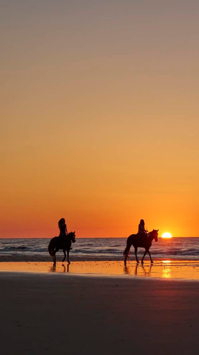 Beach Horse Riding – Sharm El Sheikh — photo 9