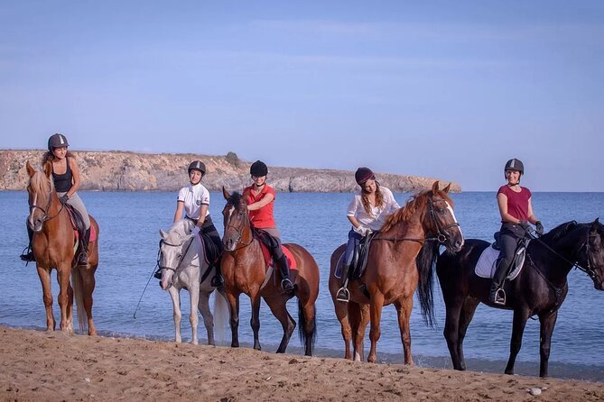Beach Horse Riding – Sharm El Sheikh — photo 6