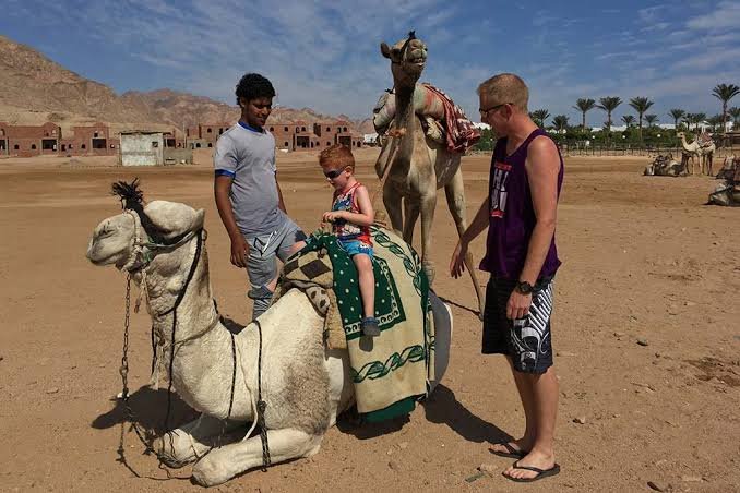 Dahab & Colored Canyon 5-in-1 Adventure — photo 7