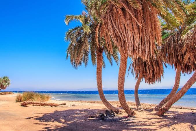 Dahab & Colored Canyon 5-in-1 Adventure — photo 10