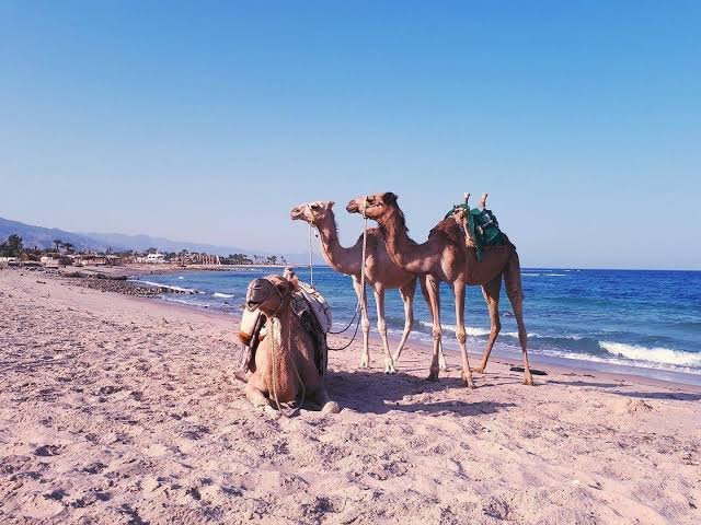 Blue Hole, Colored Canyon & Dahab — photo 10