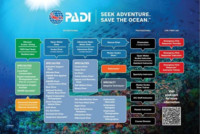 Corso PADI Open Water Diver – Sharm El Sheikh — foto 4