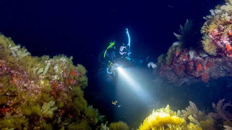 PADI Išplėstinis Atviras Vandenynas Nardymo Kursas – Šarm El Šeichas — nuotrauka 10