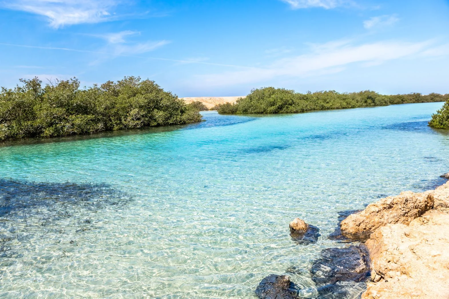 Ras Mohamed National Park – Half-Day Adventure — photo 10
