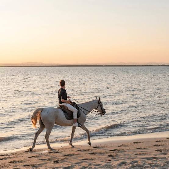 Cavalcata a Cavallo sulla Spiaggia – Sharm El Sheikh